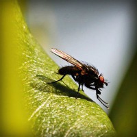 /album/biodiversidad/photolia-a04-jpg/