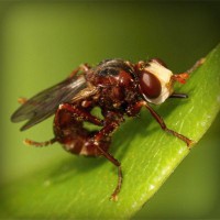 /album/biodiversidad/photolia-a06-jpg/